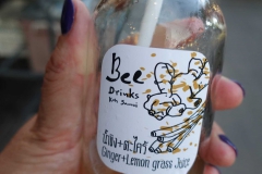 GInger Bee