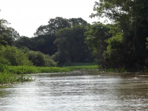 Der Rio São Lourenço
